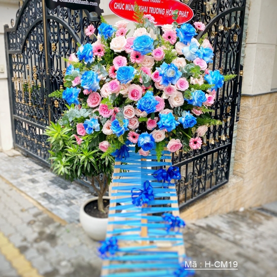 Hoa Khai Trương MCT 119